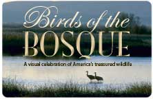 Icon for "Birds of the Bosque"