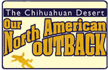 Icon for "The Chihuahuan Desert: Our North American Outback" produced by NMSU Media Productions