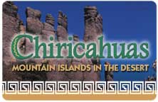 Icon for "Chiricahuas" produced by NMSU Media Productions