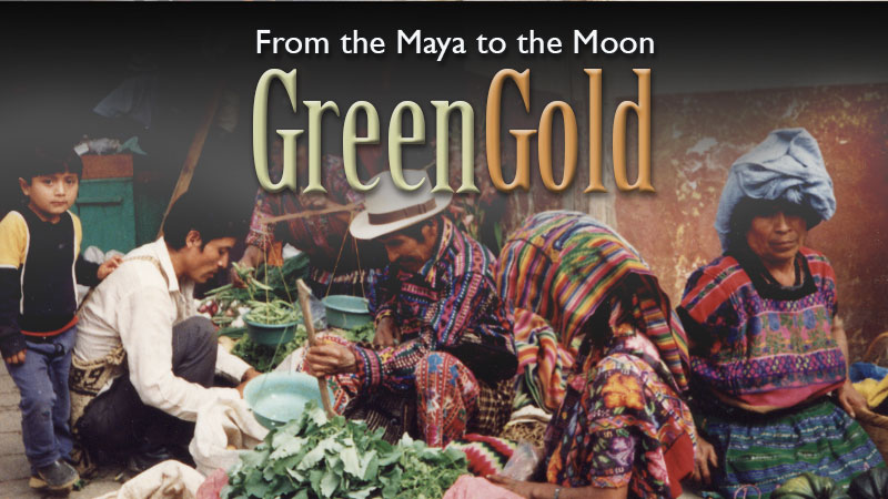 Green Gold banner image