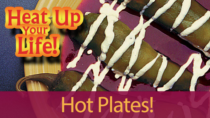 Heat Up Your Life Hot Plates banner image