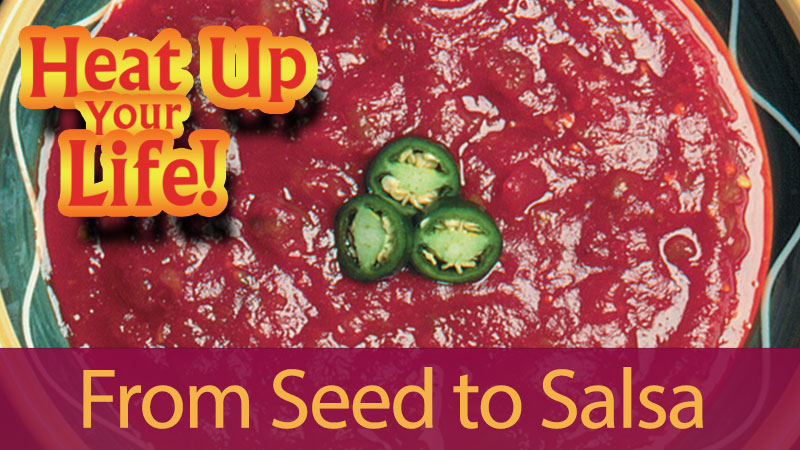 Seeds to Salsa banner image