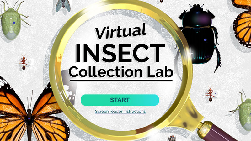 Virtual Insect Lab banner