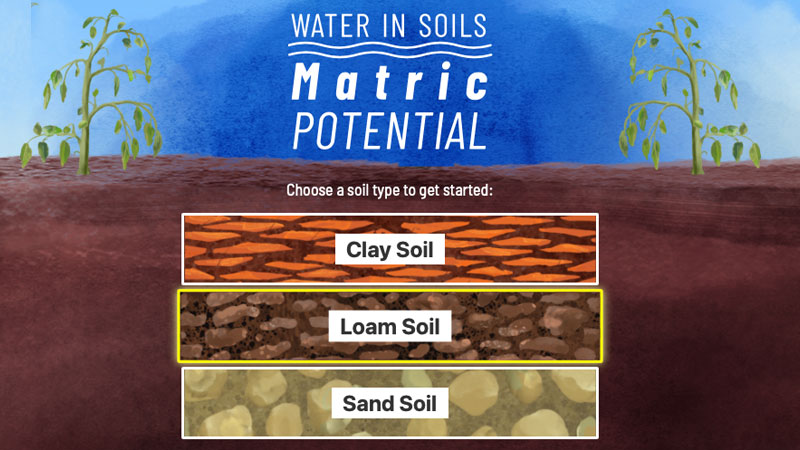 Movement and Storage of Water in Soils banner image