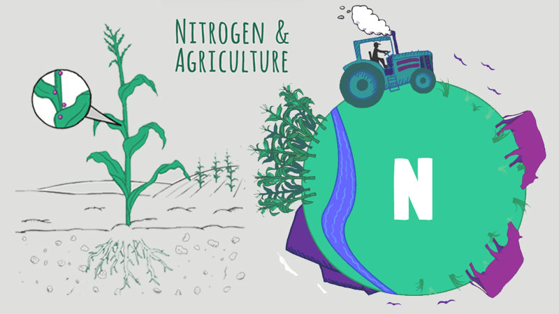 Nitrogen and Agriculture Banner