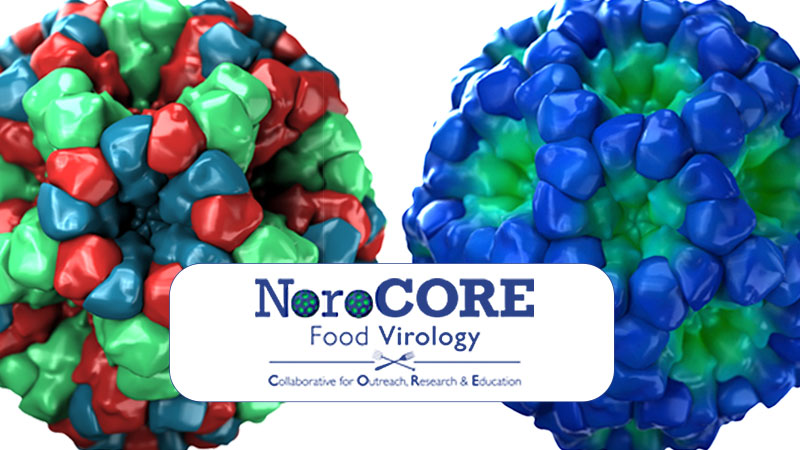 Norocore Banner image