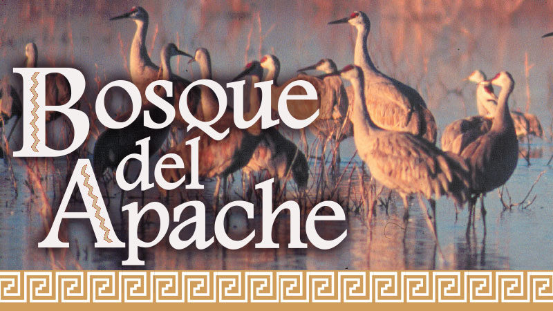 SW BosquedelApache banner
