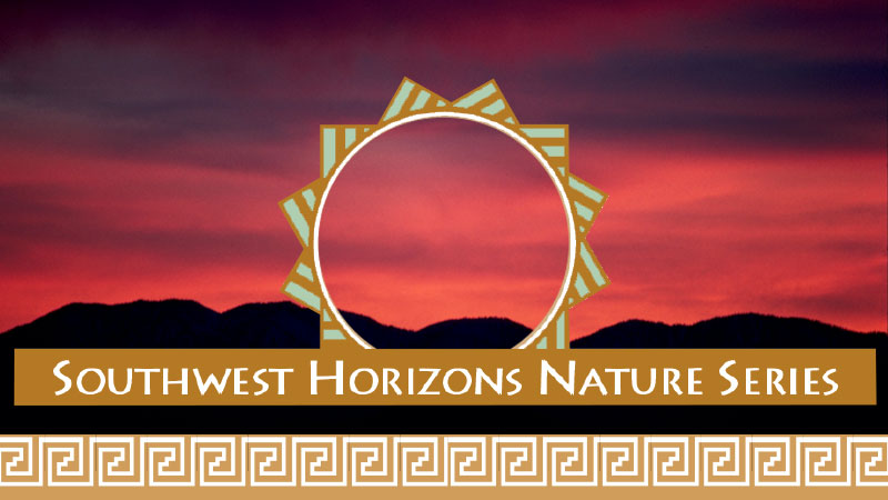 SW Horizon banner image