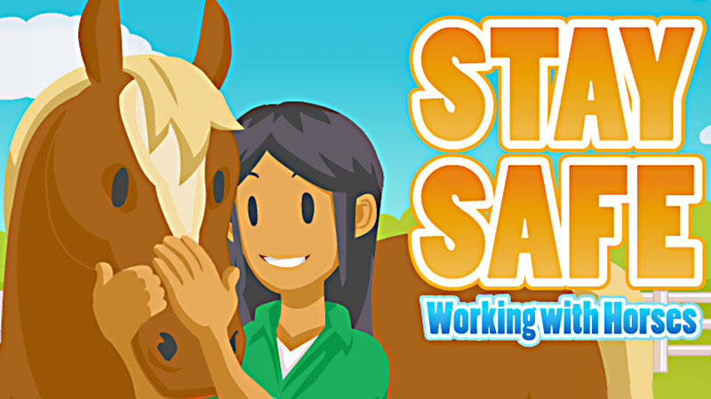 Stay Safe with Horses banner image