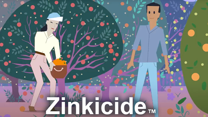 Zinkicide banner image