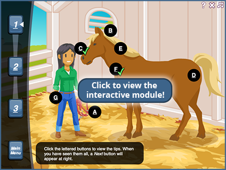Screenshot from Stay Safe Working with Horses